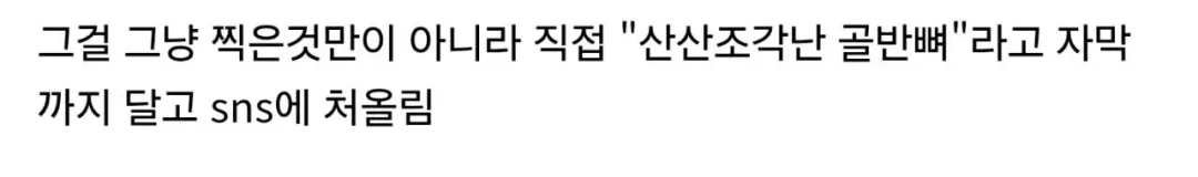 대홍수 네팔에 간 한국인 산악인 근황 (6)