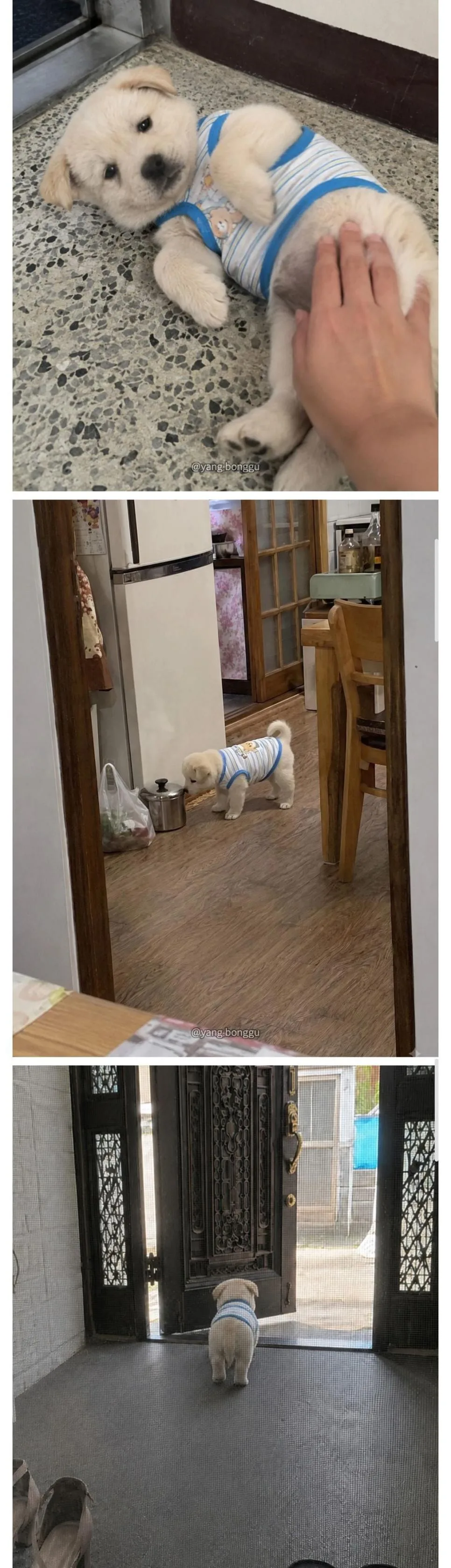 펌)우리집 최고인 점 (2)