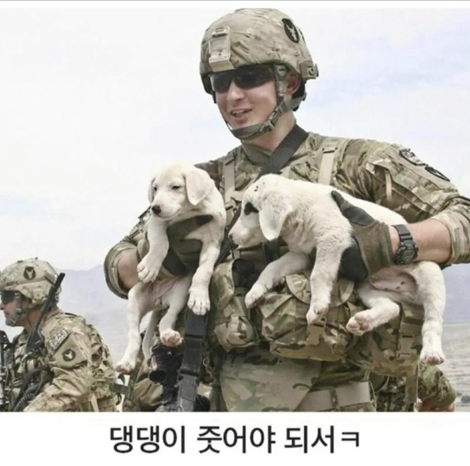 미군맨이 군복 곳곳에 주머니 다는 이유 (2)