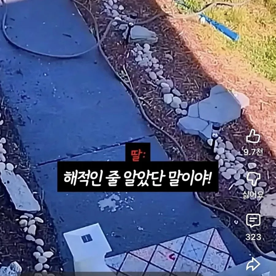 장애인에게 무례하게 군 딸내미 혼내기 (6)