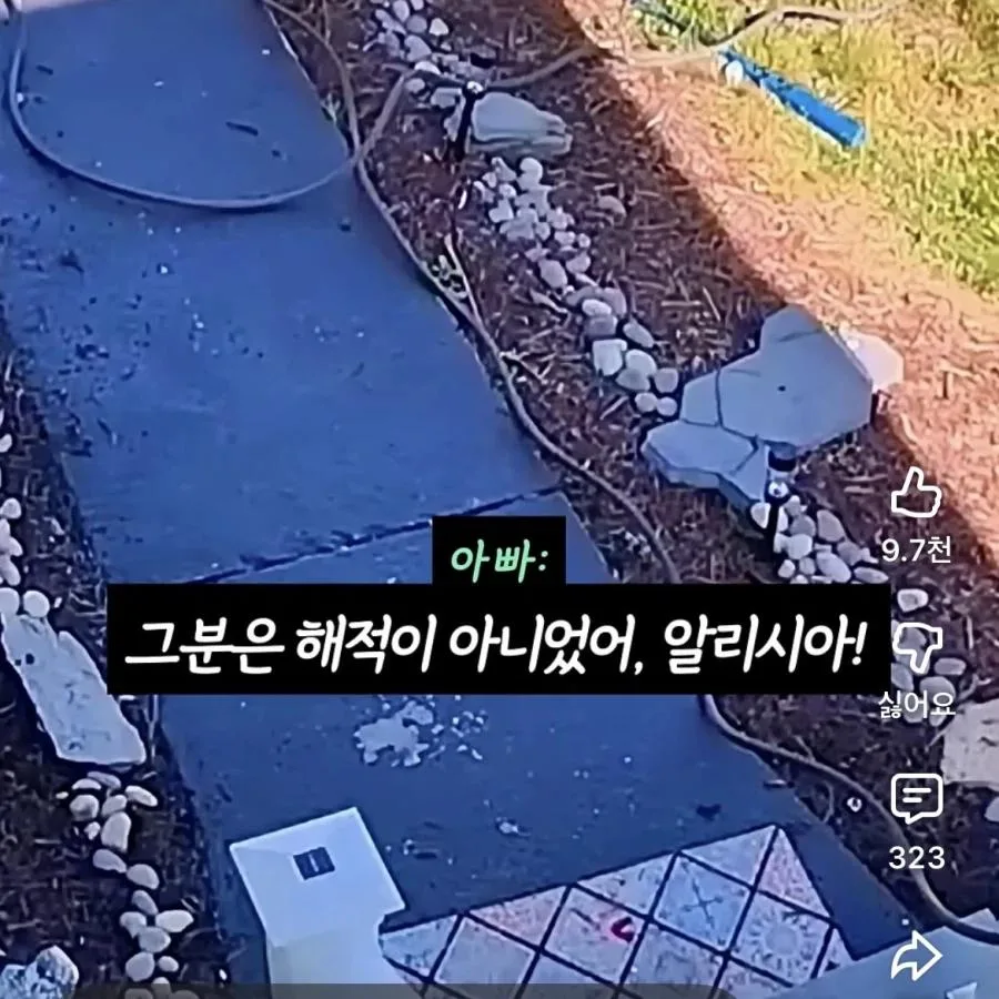 장애인에게 무례하게 군 딸내미 혼내기 (7)