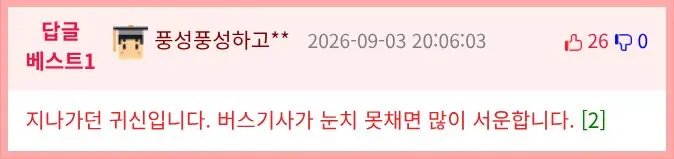 버스기사가 비명을 지르게된 이유.jpg (2)