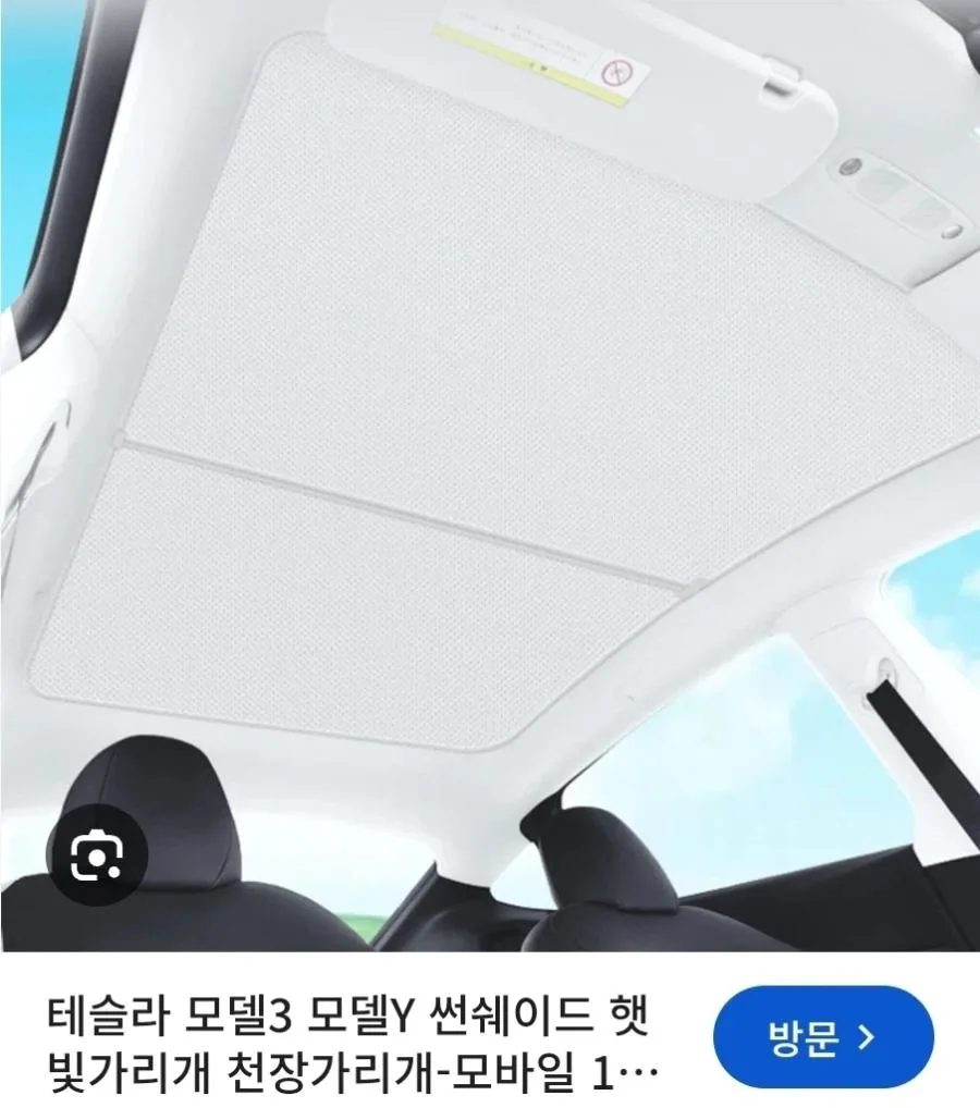 적응 못하면 도태된 거라는 테슬라 차주.jpg (5)