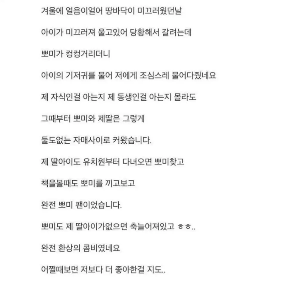 18년 키운 반려견이 죽었는데 제 딸이 말이 없어졌습니다 (3)