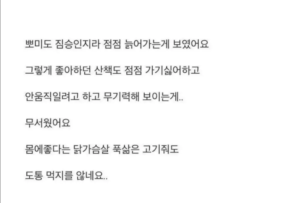 18년 키운 반려견이 죽었는데 제 딸이 말이 없어졌습니다 (4)