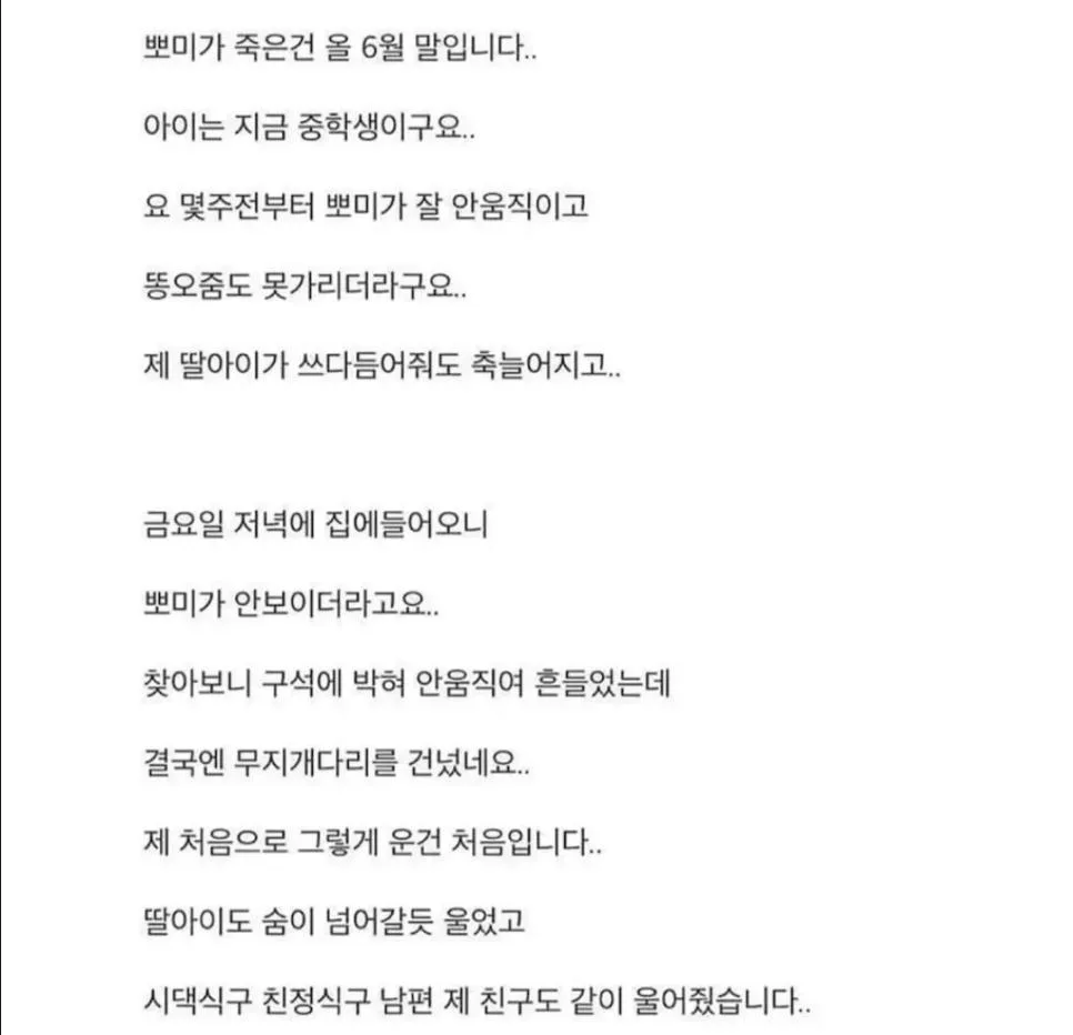 18년 키운 반려견이 죽었는데 제 딸이 말이 없어졌습니다 (5)