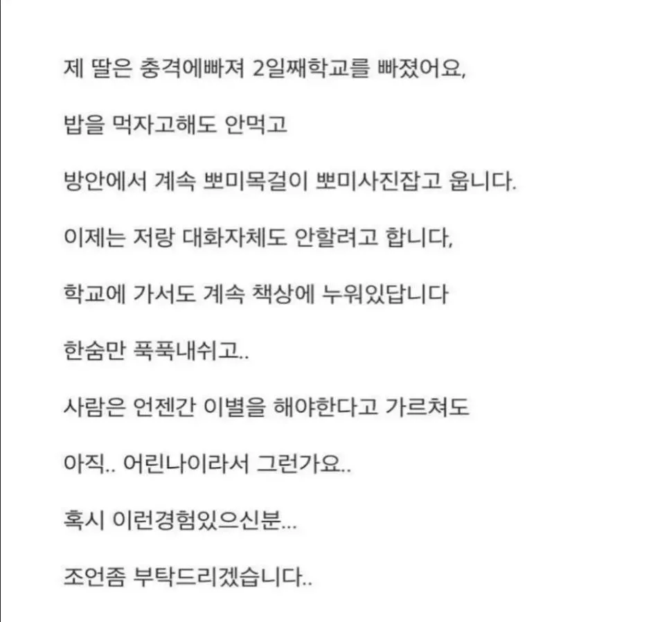 18년 키운 반려견이 죽었는데 제 딸이 말이 없어졌습니다 (6)