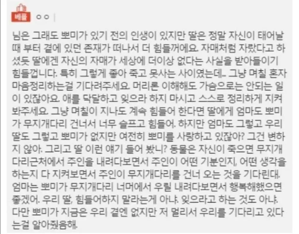 18년 키운 반려견이 죽었는데 제 딸이 말이 없어졌습니다 (7)