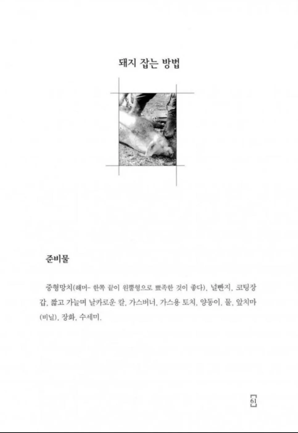 내 손으로 만드는 햄, 소시지, 베이컨 (2)