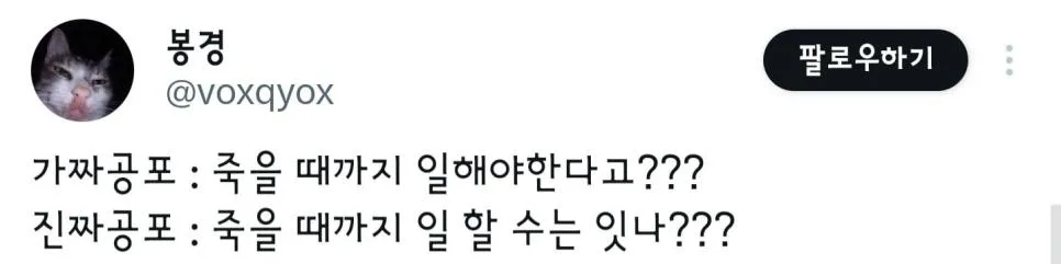 이력은 좋으신데 나이가 많으시네요 (3)