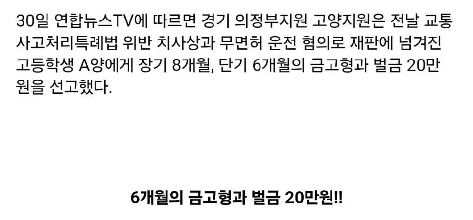 사람 쳐서 죽인 킥라니 여고생 재판 결과 (2)