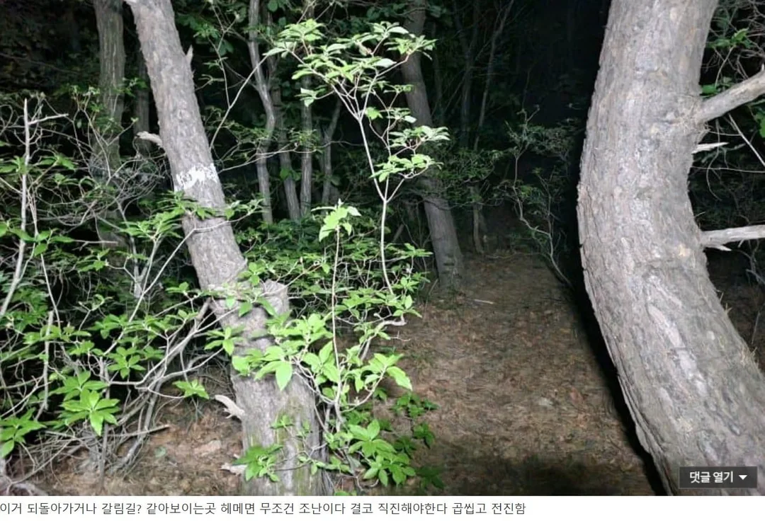 무장공비 김신조 루트 산행 간 디시인 (12)
