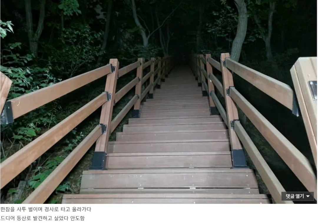 무장공비 김신조 루트 산행 간 디시인 (16)