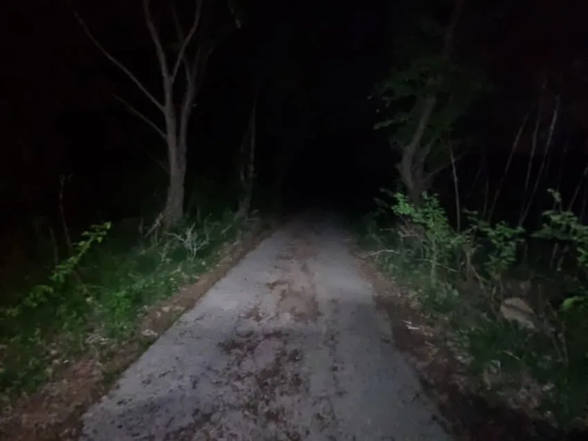 무장공비 김신조 루트 산행 간 디시인 (5)