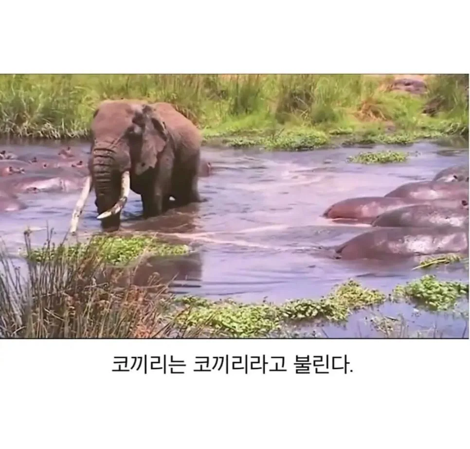 강함에는 수식어가 필요 없다 (2)