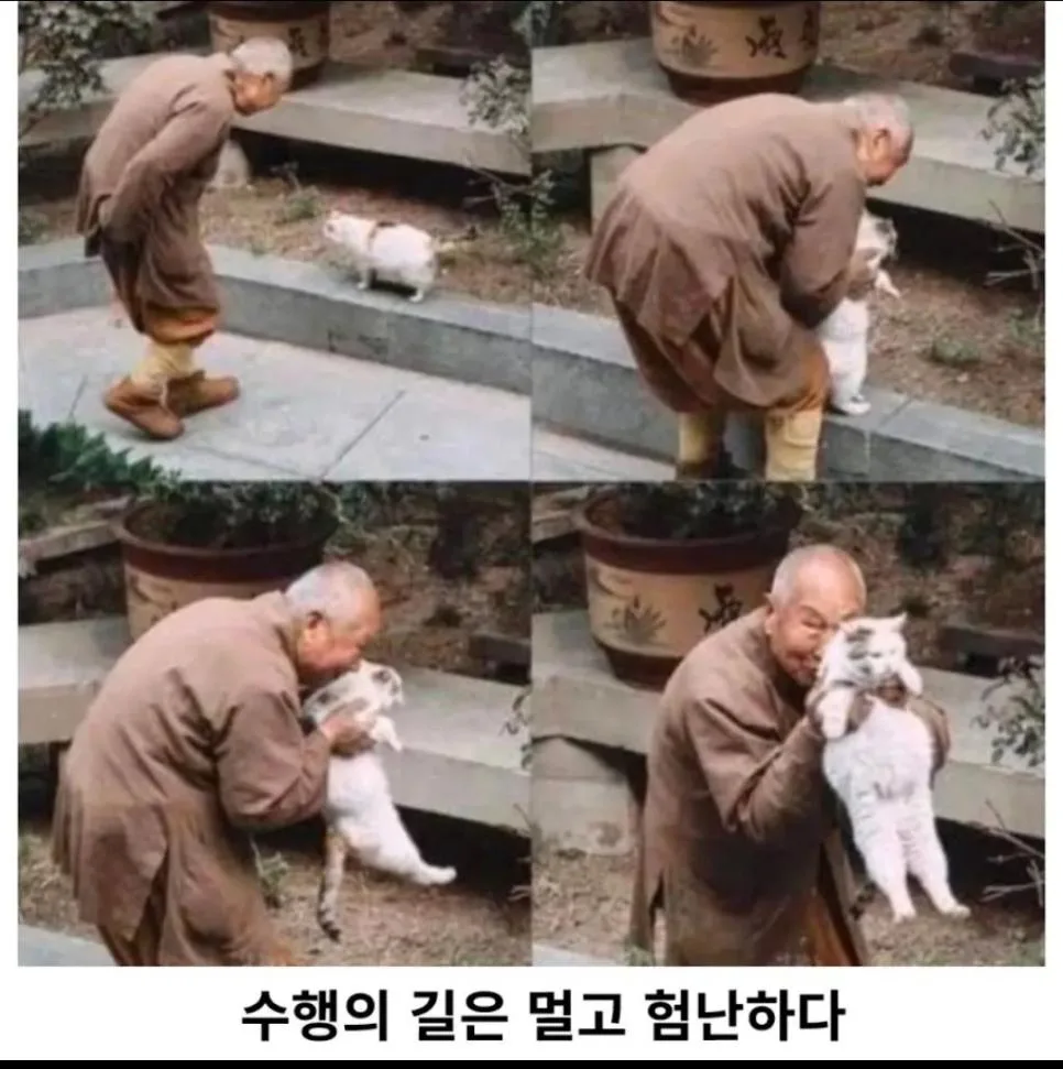 욕망을 다 끊어낸 스님도 못 참는 것 (2)