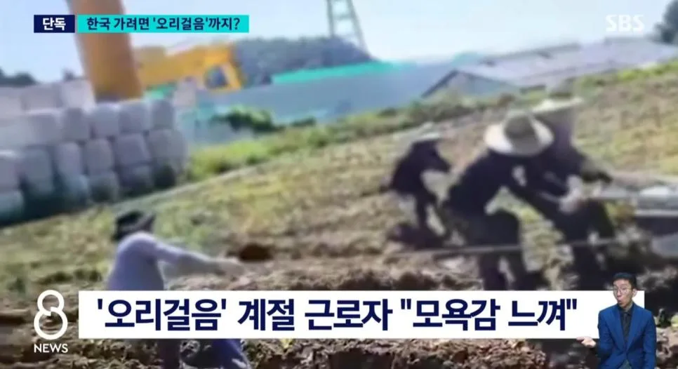 외노자 '오리걸음' 테스트 실시... 네이버 반응.jpg (3)