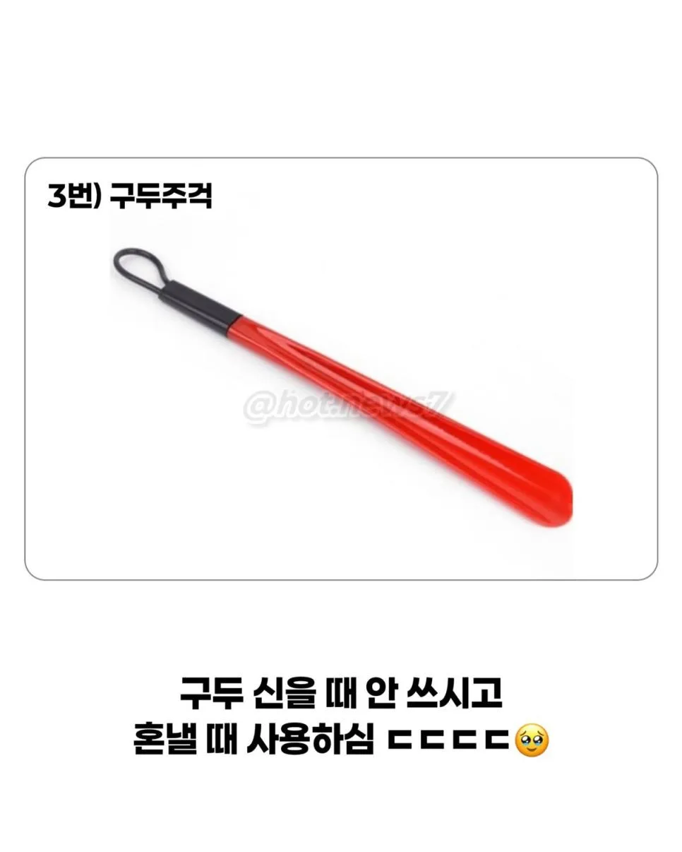 옛날에 금쪽이가 잘 안보이던 이유 (4)