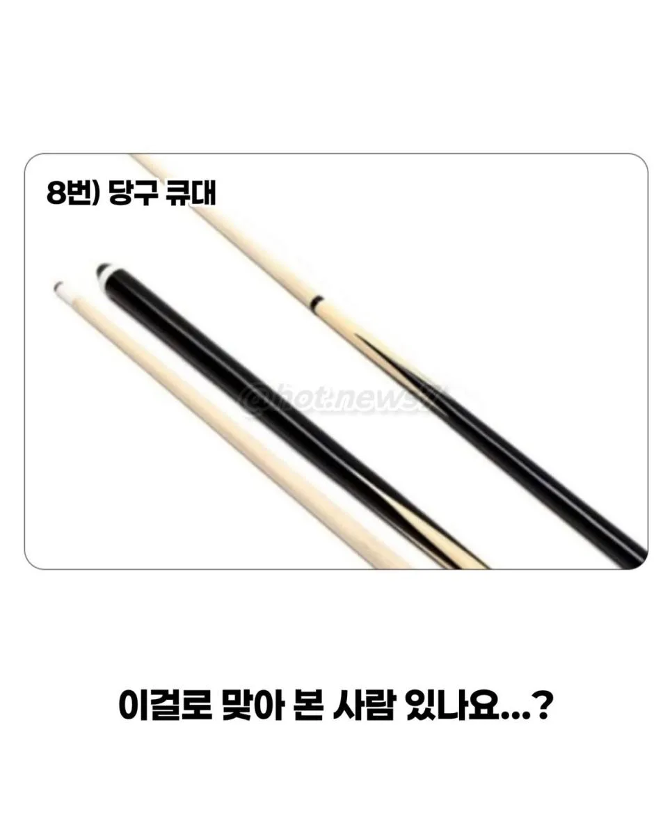 옛날에 금쪽이가 잘 안보이던 이유 (9)