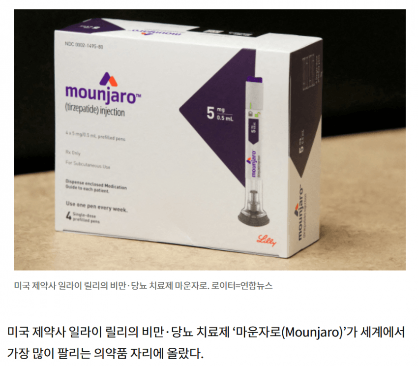 일본 마운자로 원정의 현실 (3)
