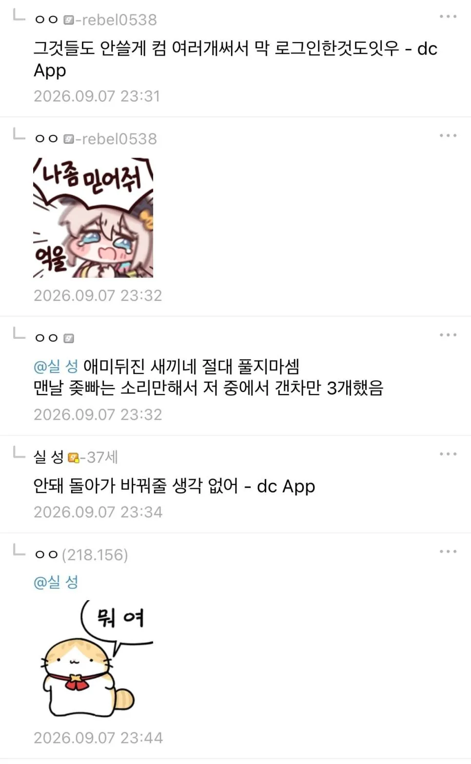 중갤 완장의 무게...jpg (3)