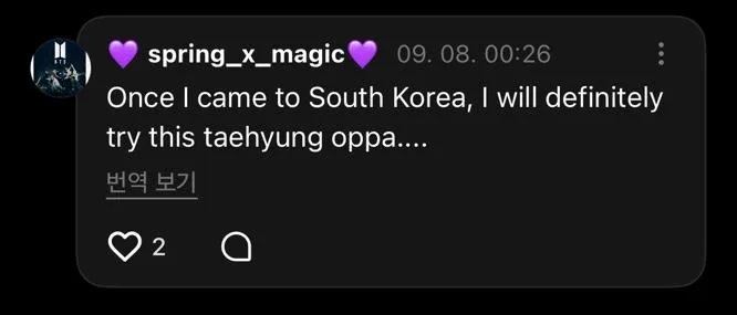 한국 회덮밥 정보를 수출해버린 BTS 진 (4)