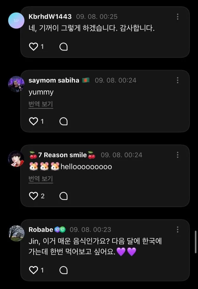 한국 회덮밥 정보를 수출해버린 BTS 진 (5)