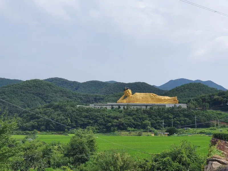 한국에 있는 세계 최대규모의 불상 (8)