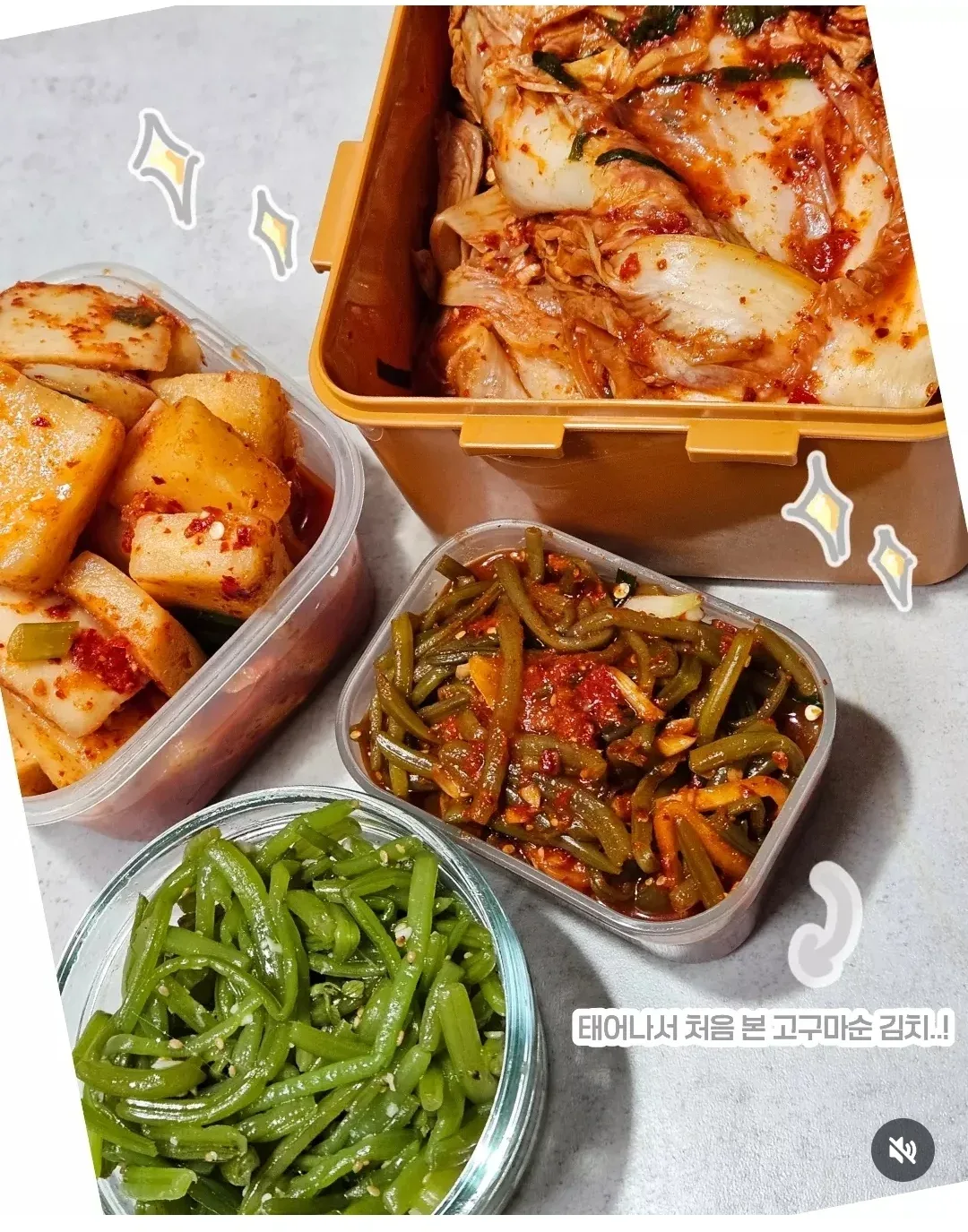 비싸서 김치를 못먹는다는 회사 막내 (6)