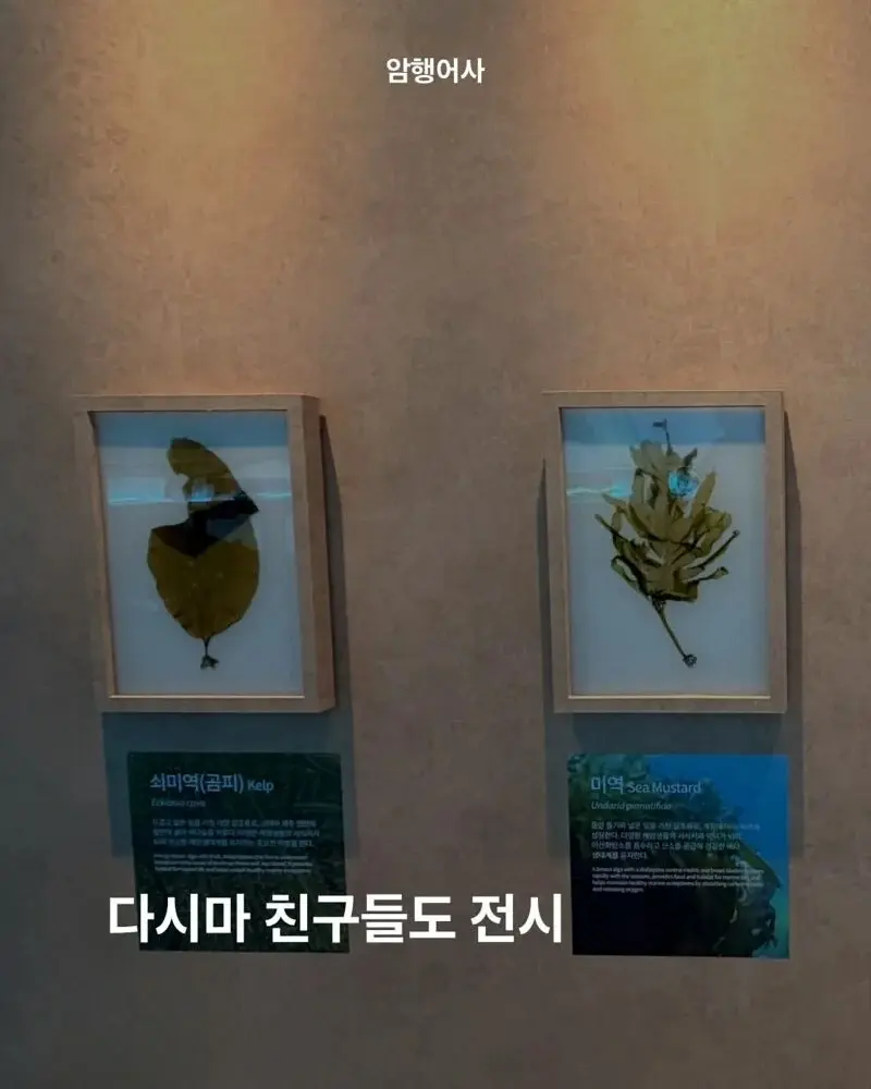 700억 짜리 여수 섬박람회는 어떤 볼거리가 있나 (3)