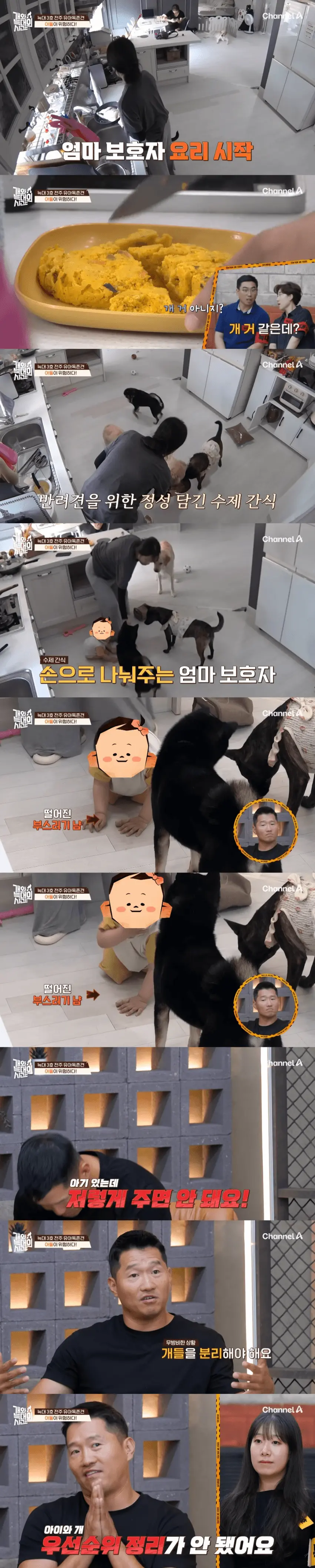 우리 애는 안물어요~ (2)