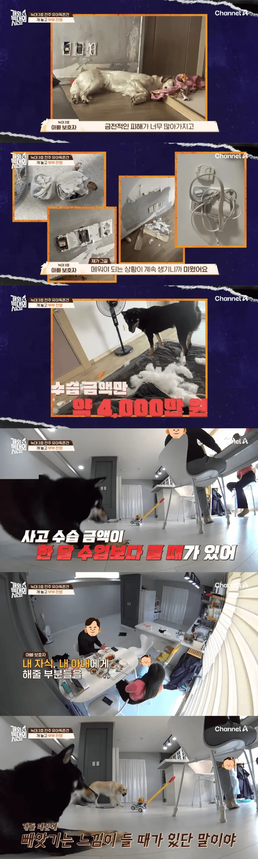 우리 애는 안물어요~ (4)