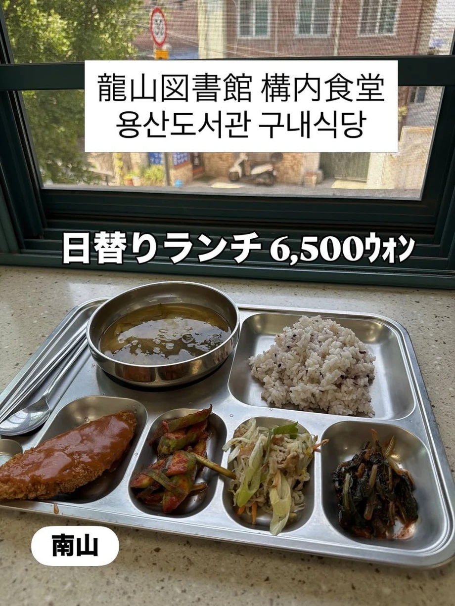 한국에서 특이한 여행을 하는 일본인 (10)