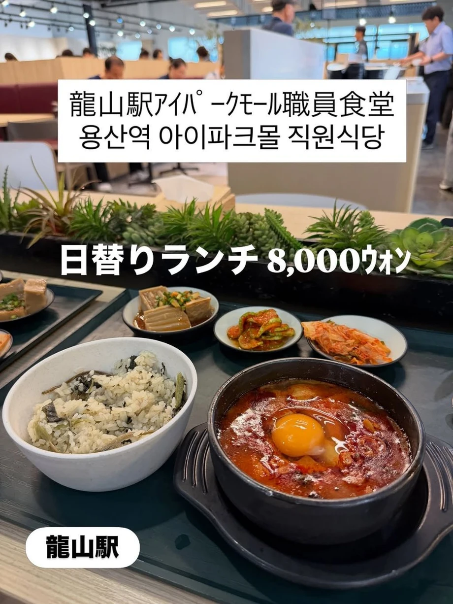 한국에서 특이한 여행을 하는 일본인 (14)