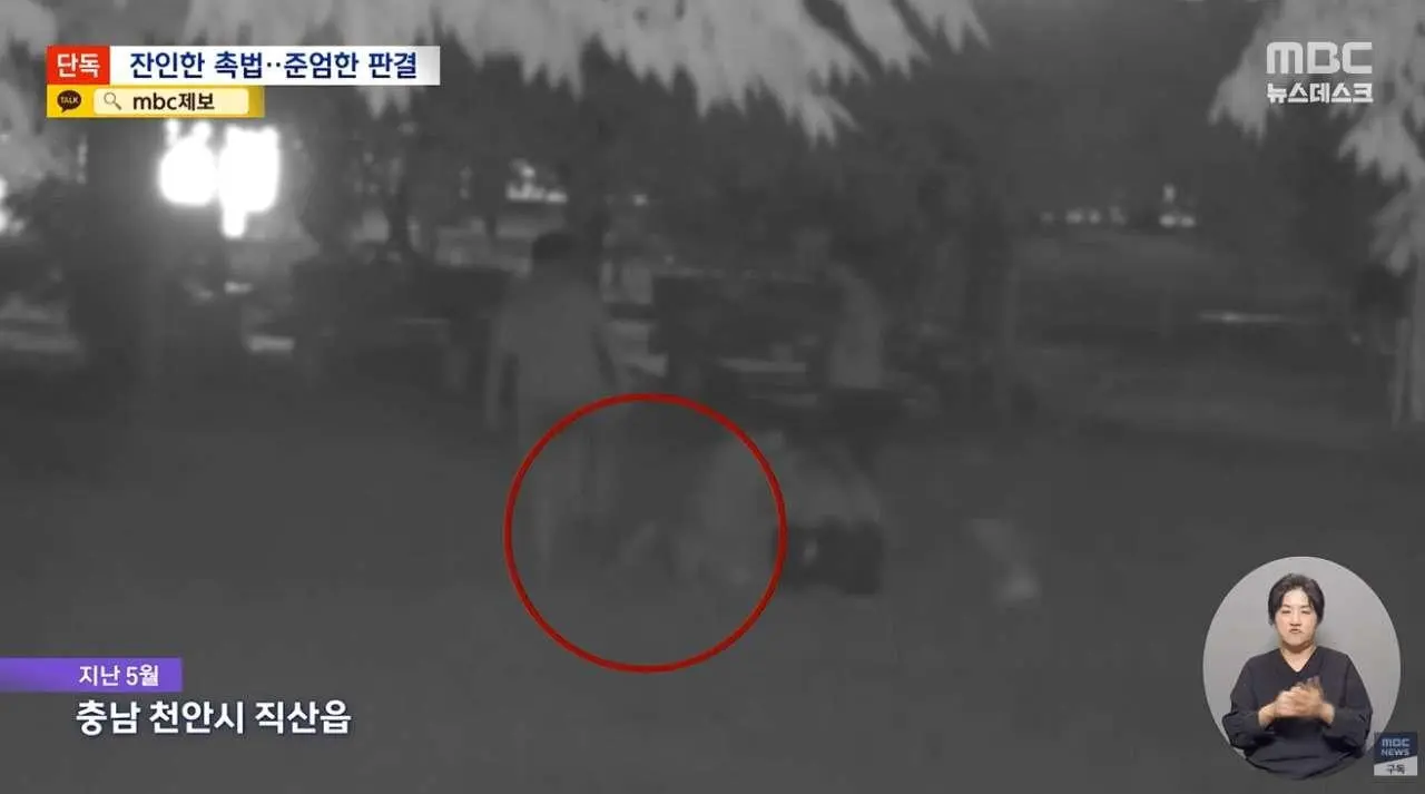 촉법이라 감옥 안 가? 결국 촉법 '최고형' (2)