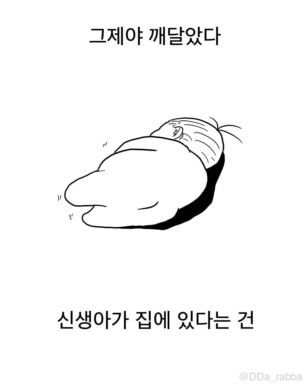 신생아가 집에 오면 생기는 일 (5)