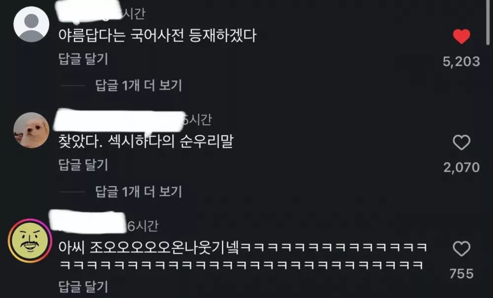 드디어 생긴 “섹시하다”의 순우리말 (2)