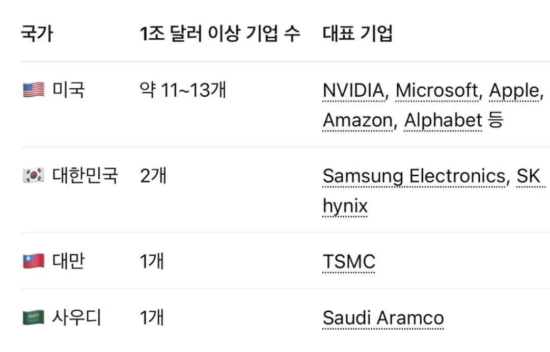 세계 두번째로 시총 1조달러 회사 보유 (2)