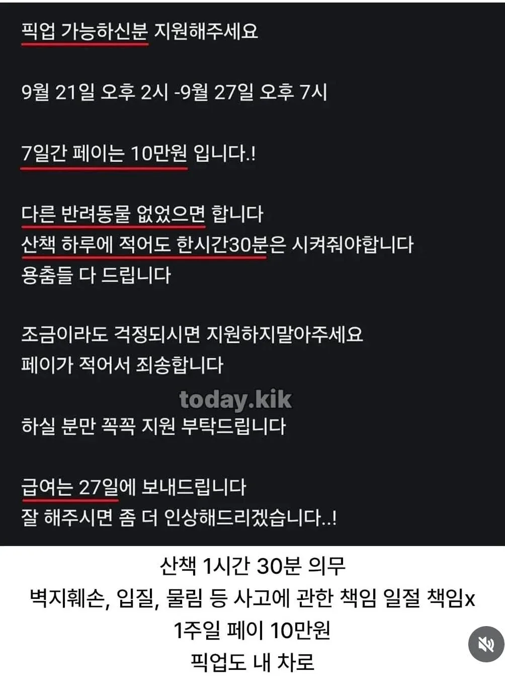 추석동안 애견 보호 알바 (2)