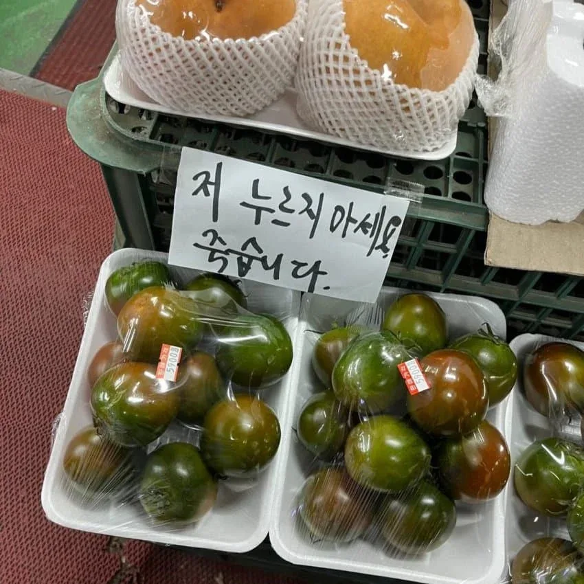 우당탕탕 지구촌 (12)
