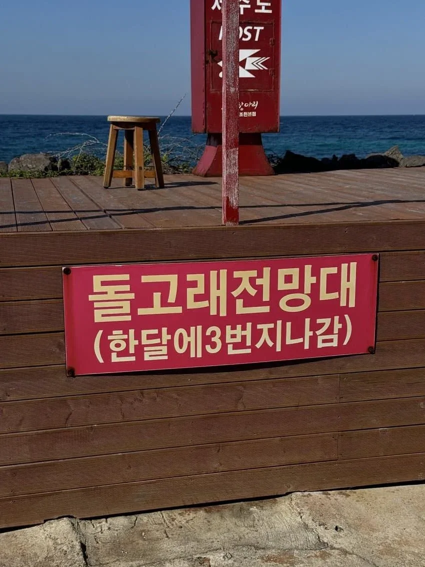 우당탕탕 지구촌 (29)