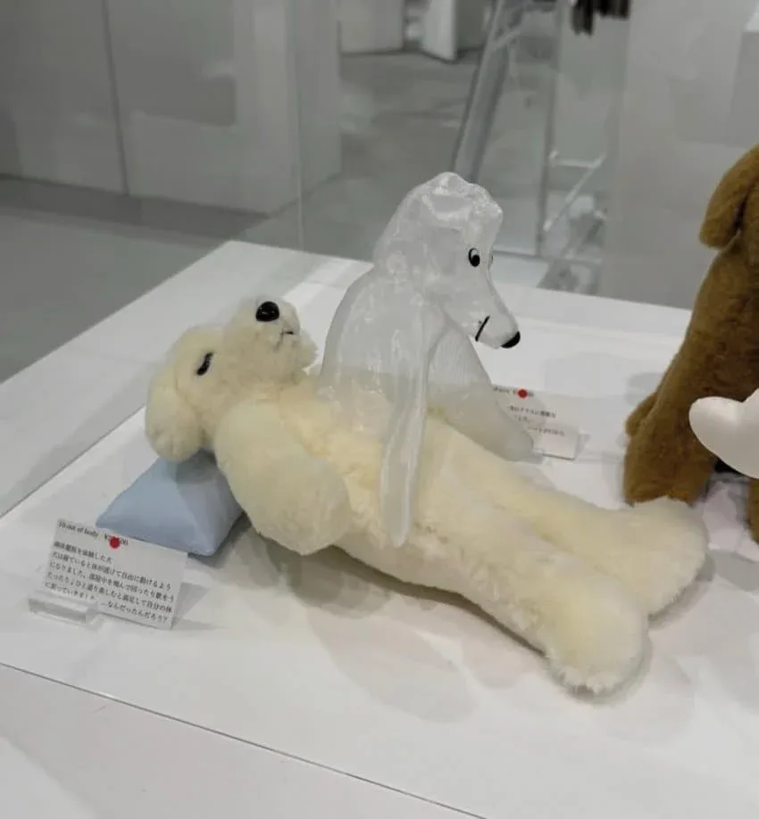 우당탕탕 지구촌 (5)