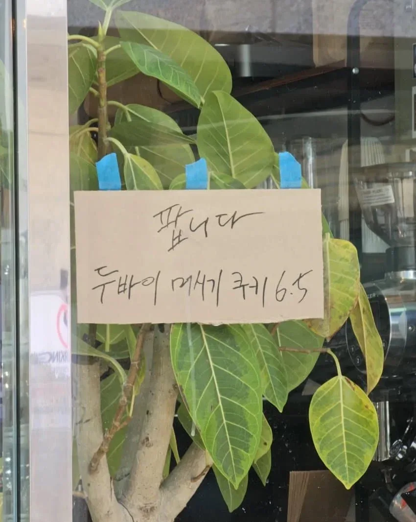 우당탕탕 지구촌 (6)