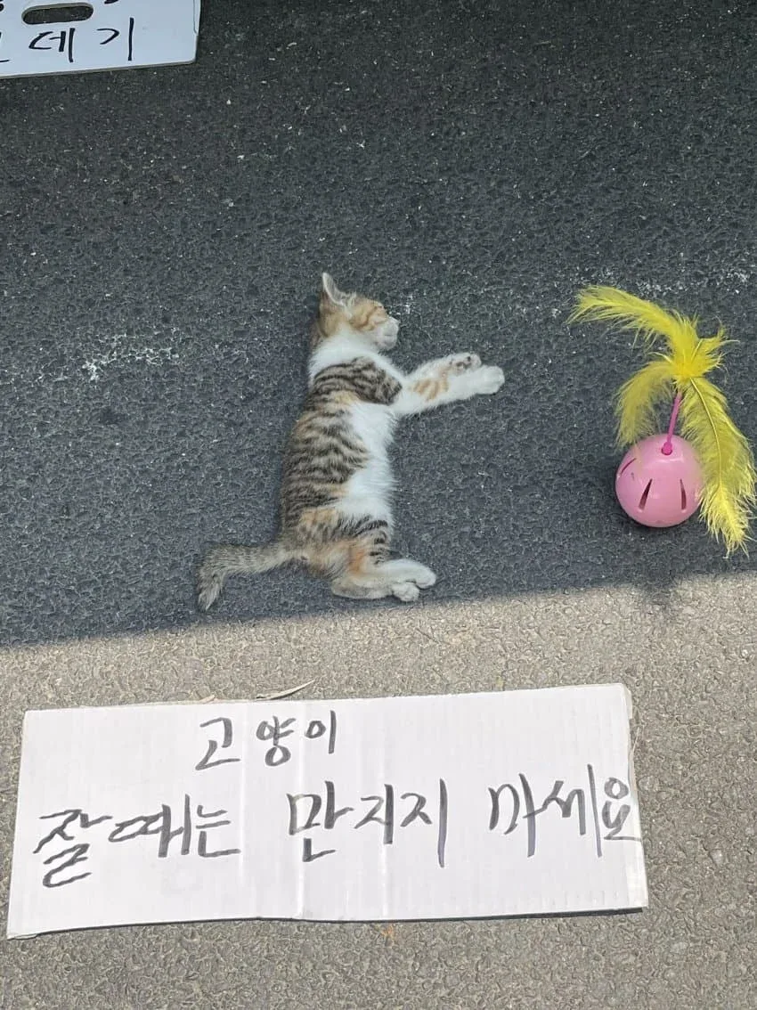 우당탕탕 지구촌 (9)