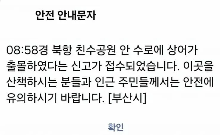 부산 공원 수로에 상어 출몰함 (2)
