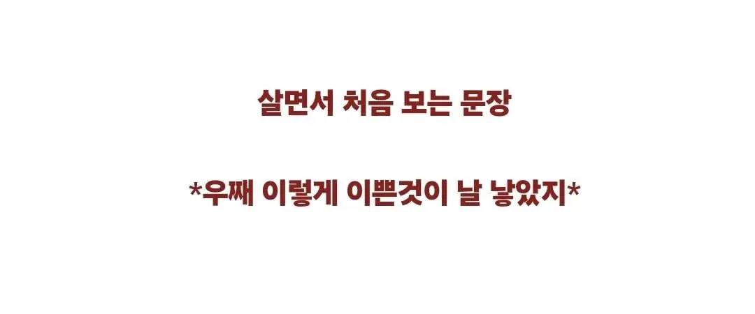 살면서 처음 보는 문장 (4)