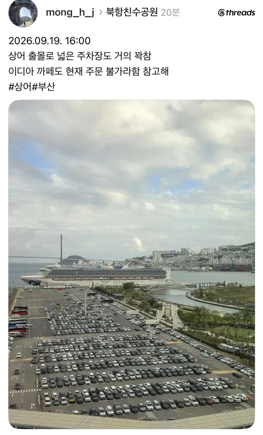부산 북항 상어 출몰 현시점 최대 수혜자 (2)