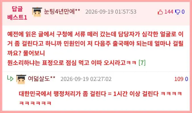 한국 행정 속도가 마음에 안 든 사람 (3)