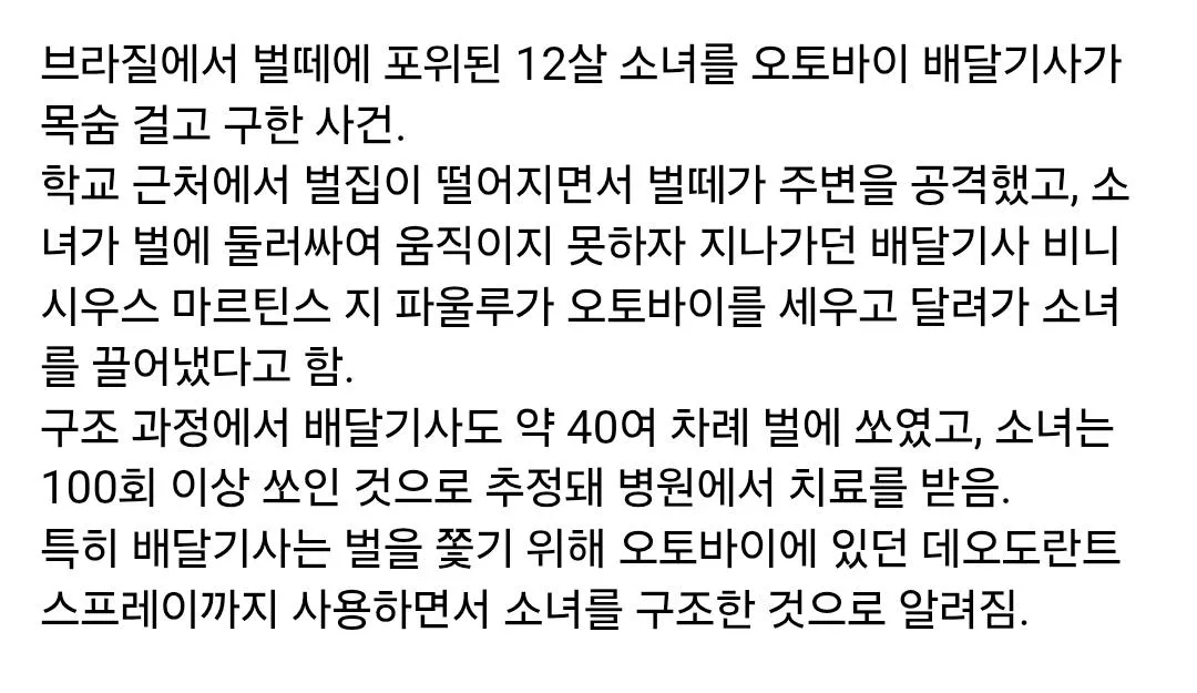 브라질에서 일어난 벌떼에 공격당한 학생을 구한 배달기사