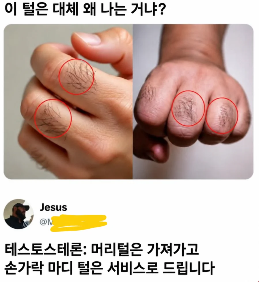 해외 밈 몇 개 (3)